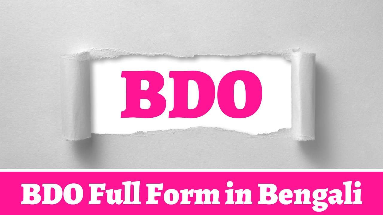 BDO Full Form in Bengali