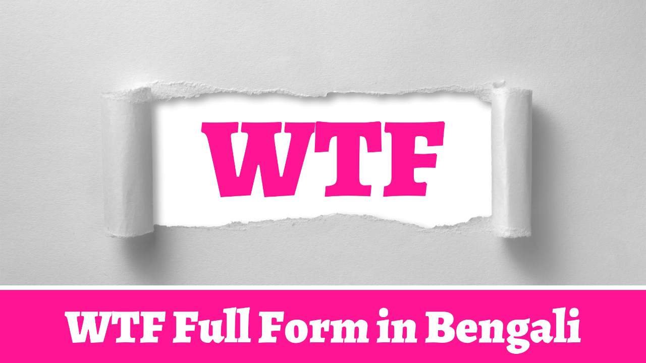 WTF Full Form in Bengali