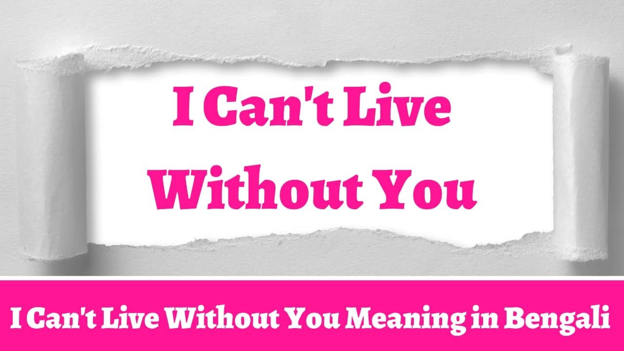 I Can't Live Without You Meaning in Bengali