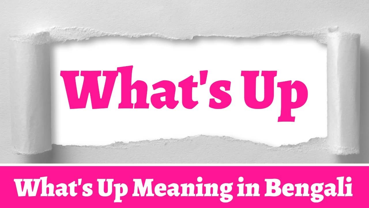 What's Up Meaning in Bengali