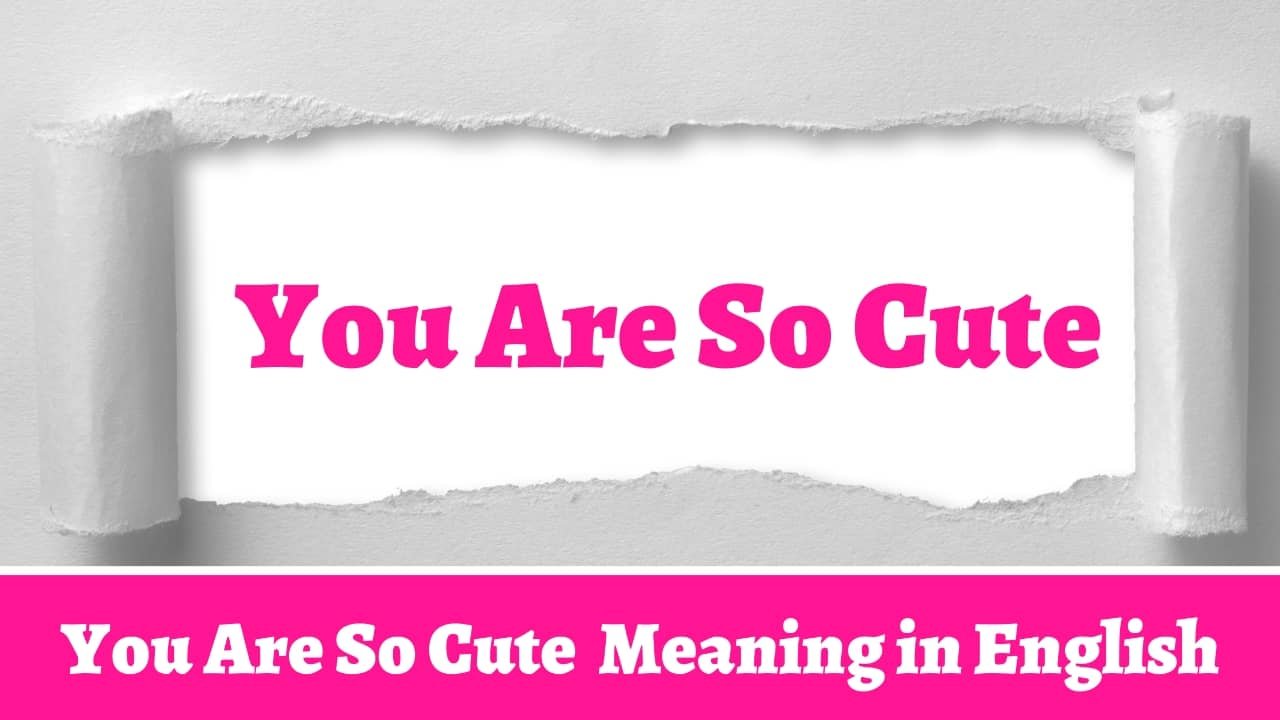 You Are So Cute Meaning in Bengali