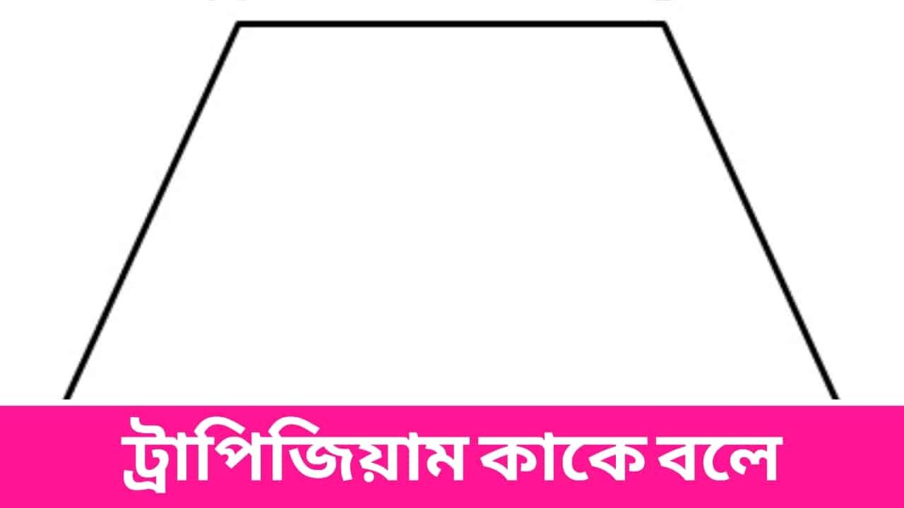 ট্রাপিজিয়াম কাকে বলে