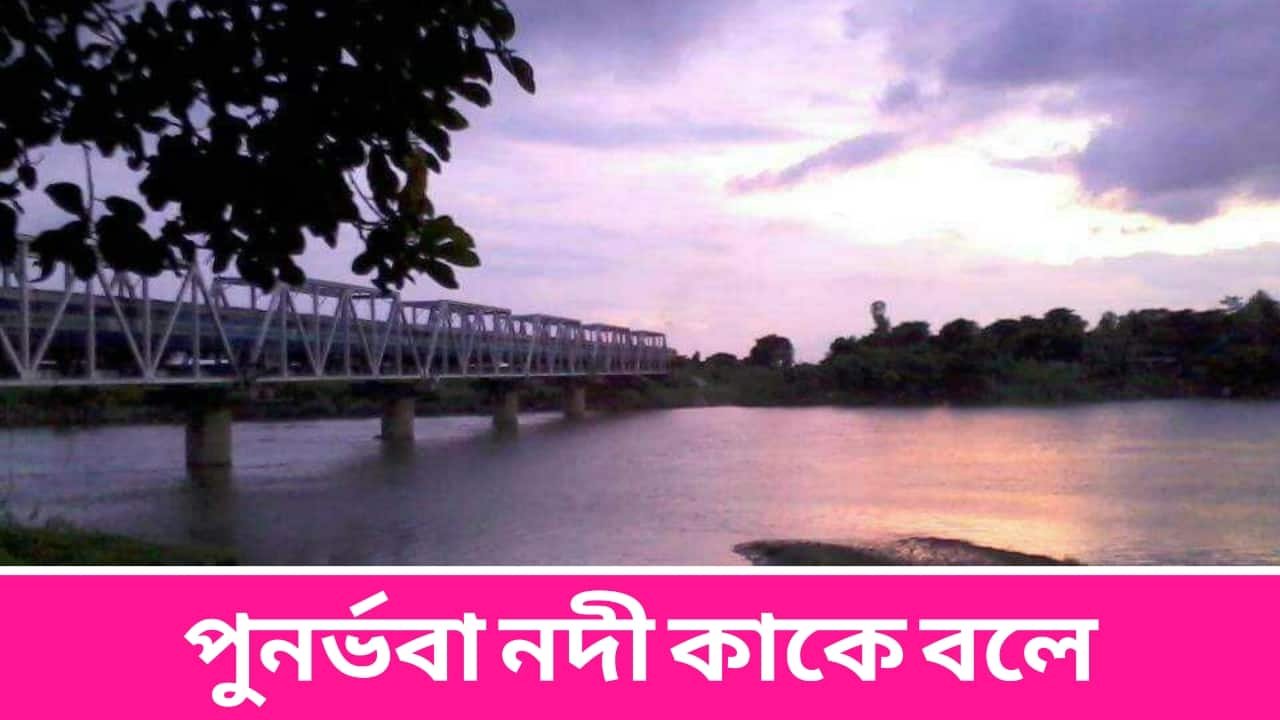 পুনর্ভবা নদী কাকে বলে