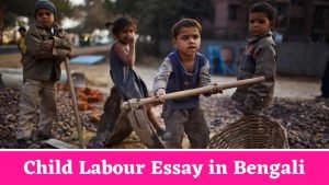 Child Labour Essay in Bengali
