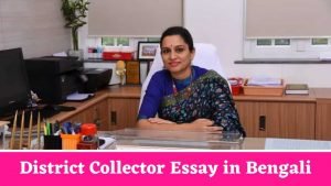 District Collector Essay in Bengali