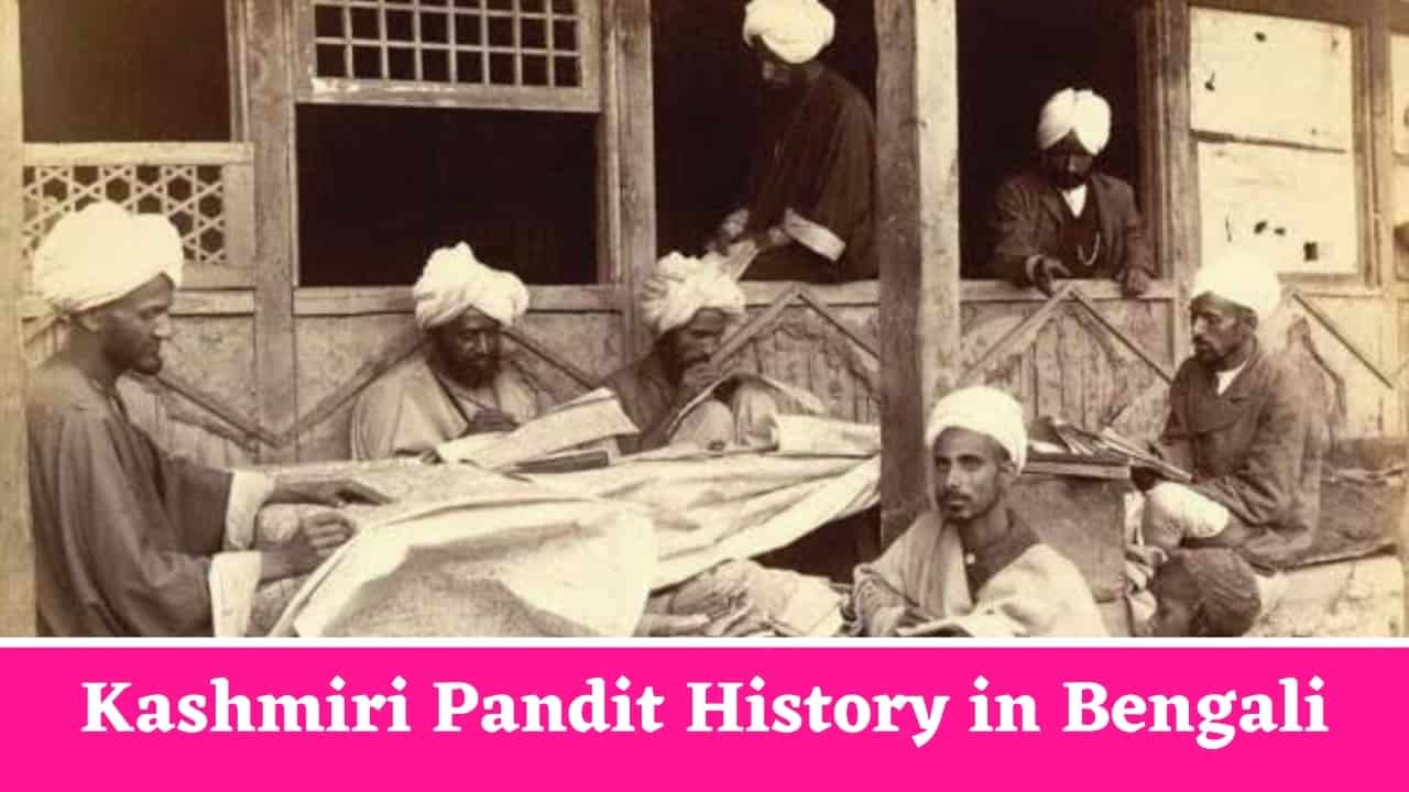 Kashmiri Pandit History in Bengali