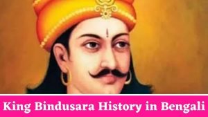 King Bindusara History in Bengali
