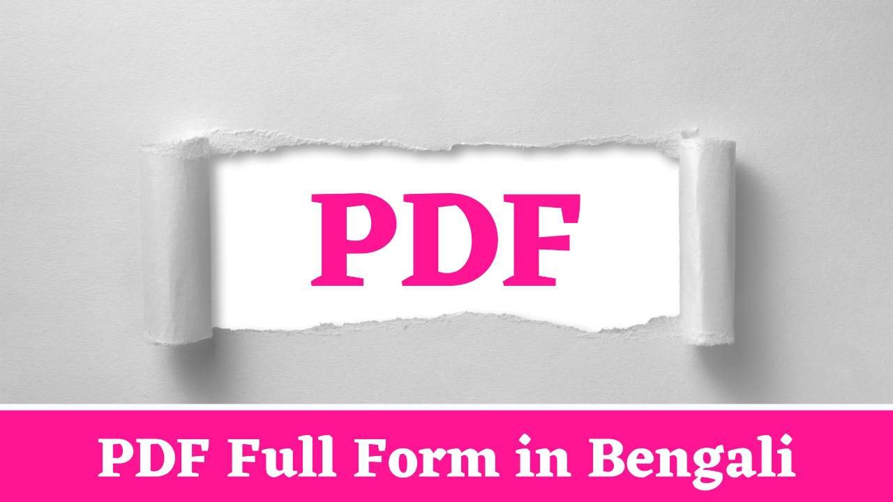 PDF Full Form in Bengali