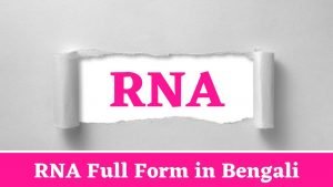 RNA Full Form in Bengali