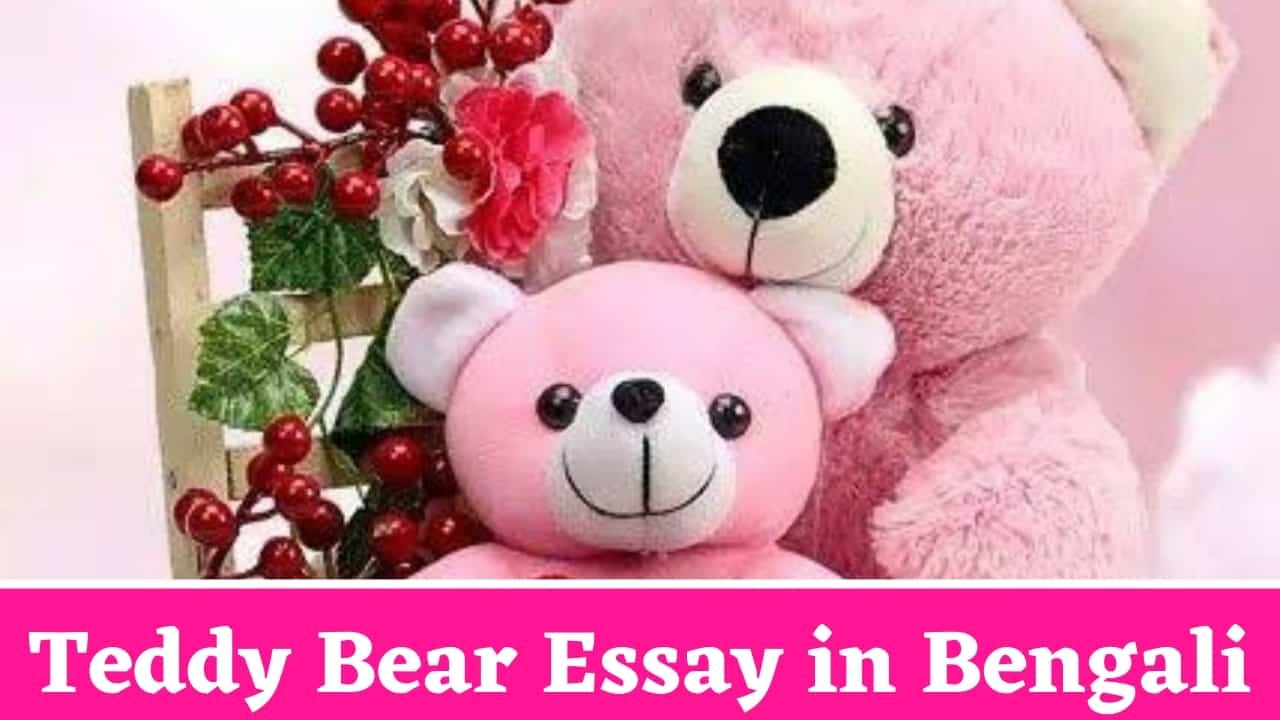 Teddy Bear Essay in Bengali