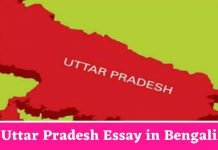 Uttar Pradesh Essay in Bengali