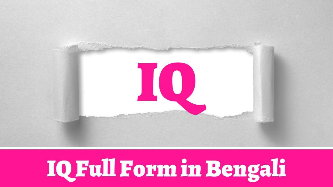 IQ Full Form in Bengali