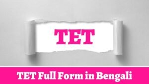 TET Full Form in Bengali