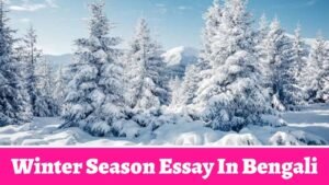 Winter Season Essay In Bengali
