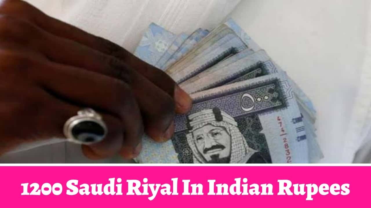 1200 Saudi Riyal In Indian Rupees