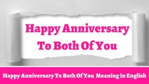 Happy Anniversary To Both Of You Meaning in Bengali