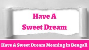 Have A Sweet Dream Meaning in Bengali