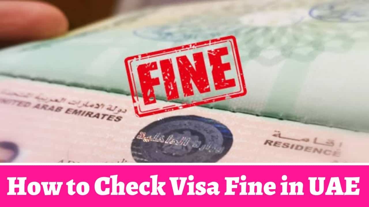How to Check Visa Fine in UAE