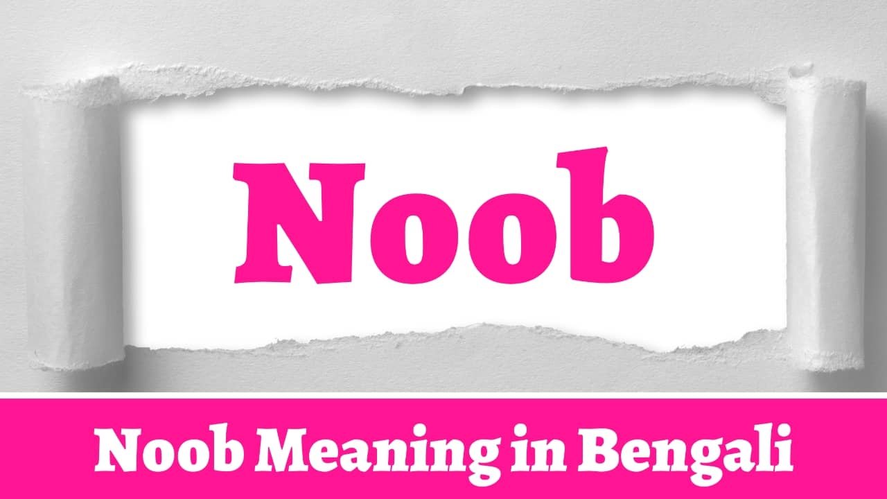 Noob Meaning in Bengali