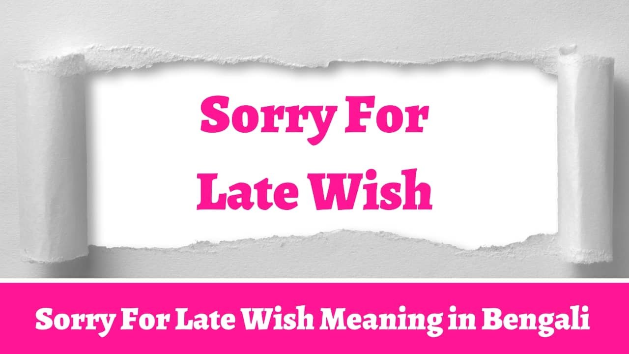 sorry-for-late-wish-meaning-in-bengali-ruposhi-bangla