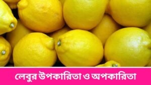 লেবুর উপকারিতা ও অপকারিতা